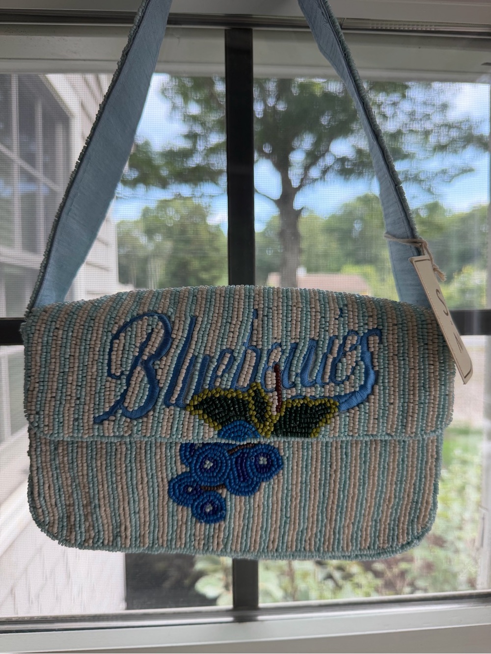 Viral Sol & Mer Blueberry Beaded Bag